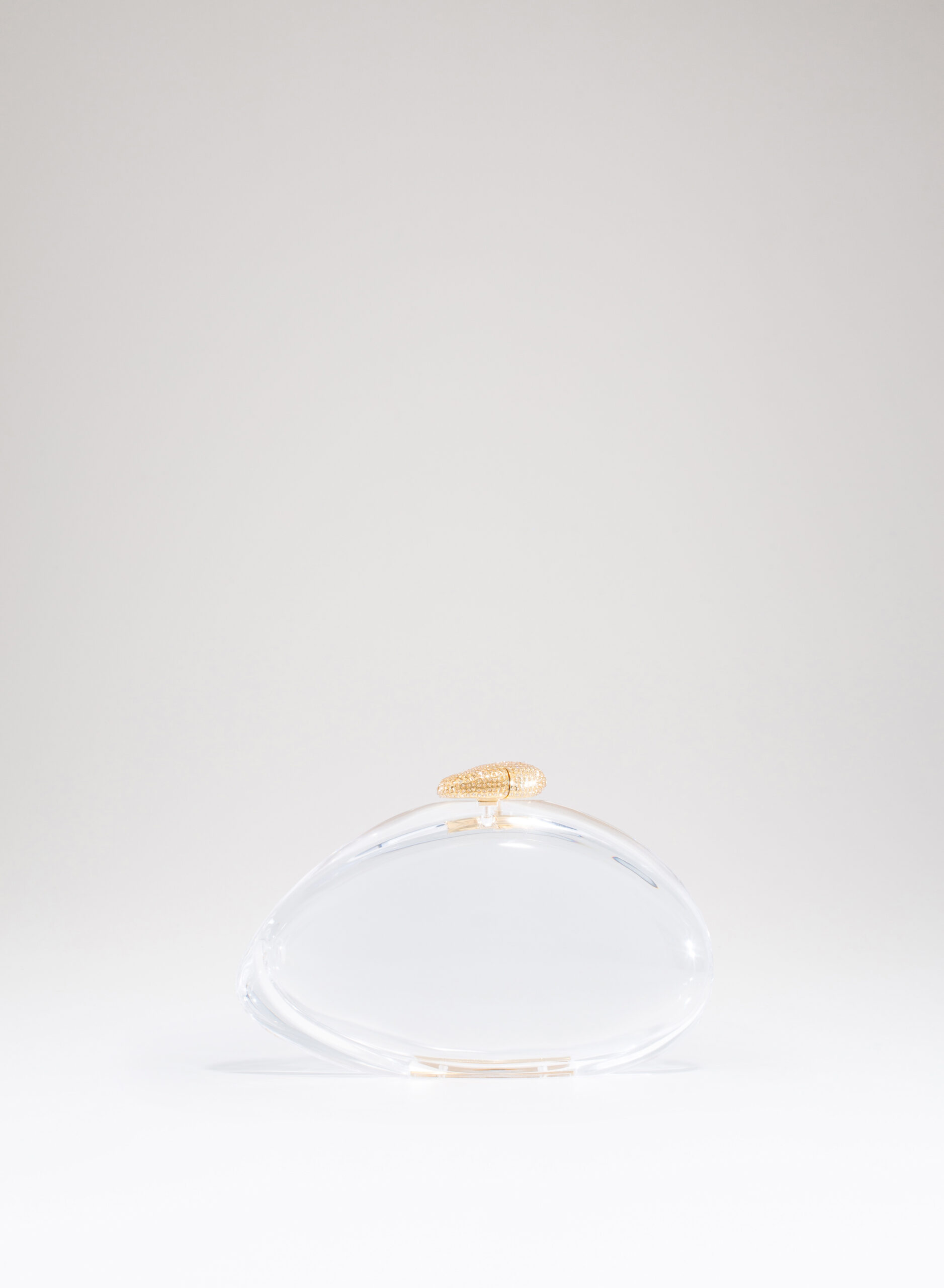 benedetta-bruzziches-ariel-borsa-donna-premium-transparent image 3