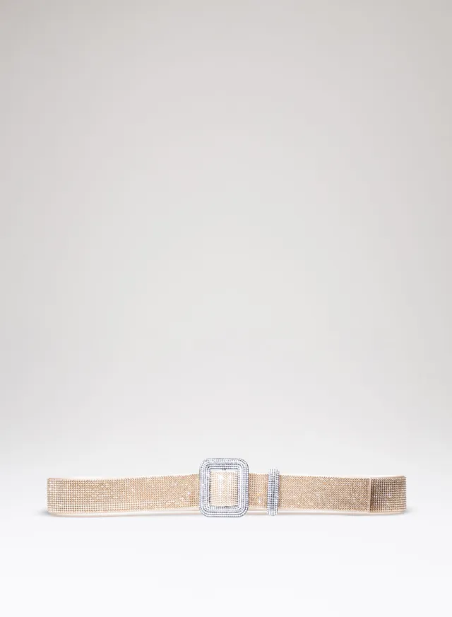 benedetta-bruzziches-cintura-venus-belt-shine-on-you-crazy-diamond image 1
