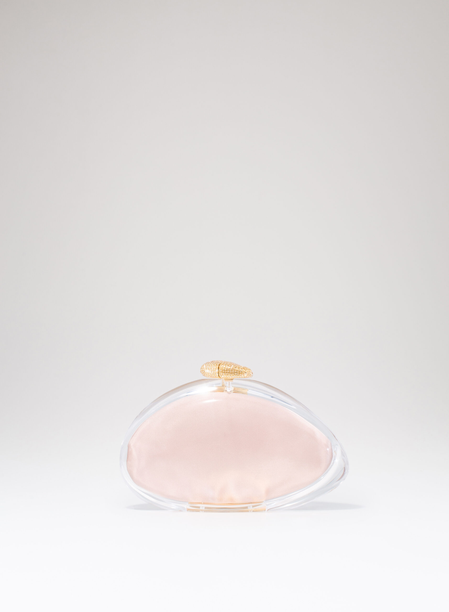 benedetta-bruzziches-ariel-borsa-donna-premium-transparent image 7