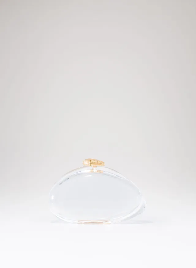 benedetta-bruzziches-ariel-borsa-donna-premium-transparent image 1