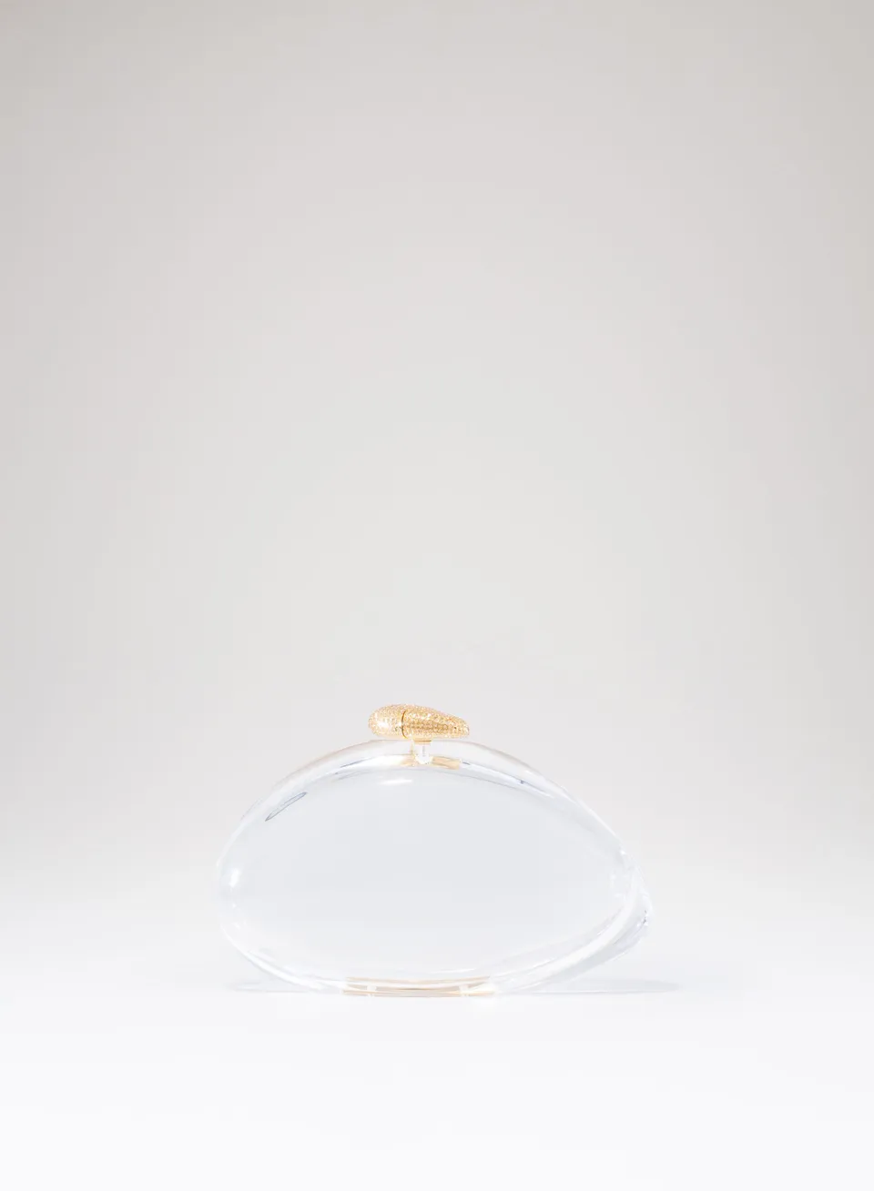 benedetta-bruzziches-ariel-borsa-donna-premium-transparent image 1