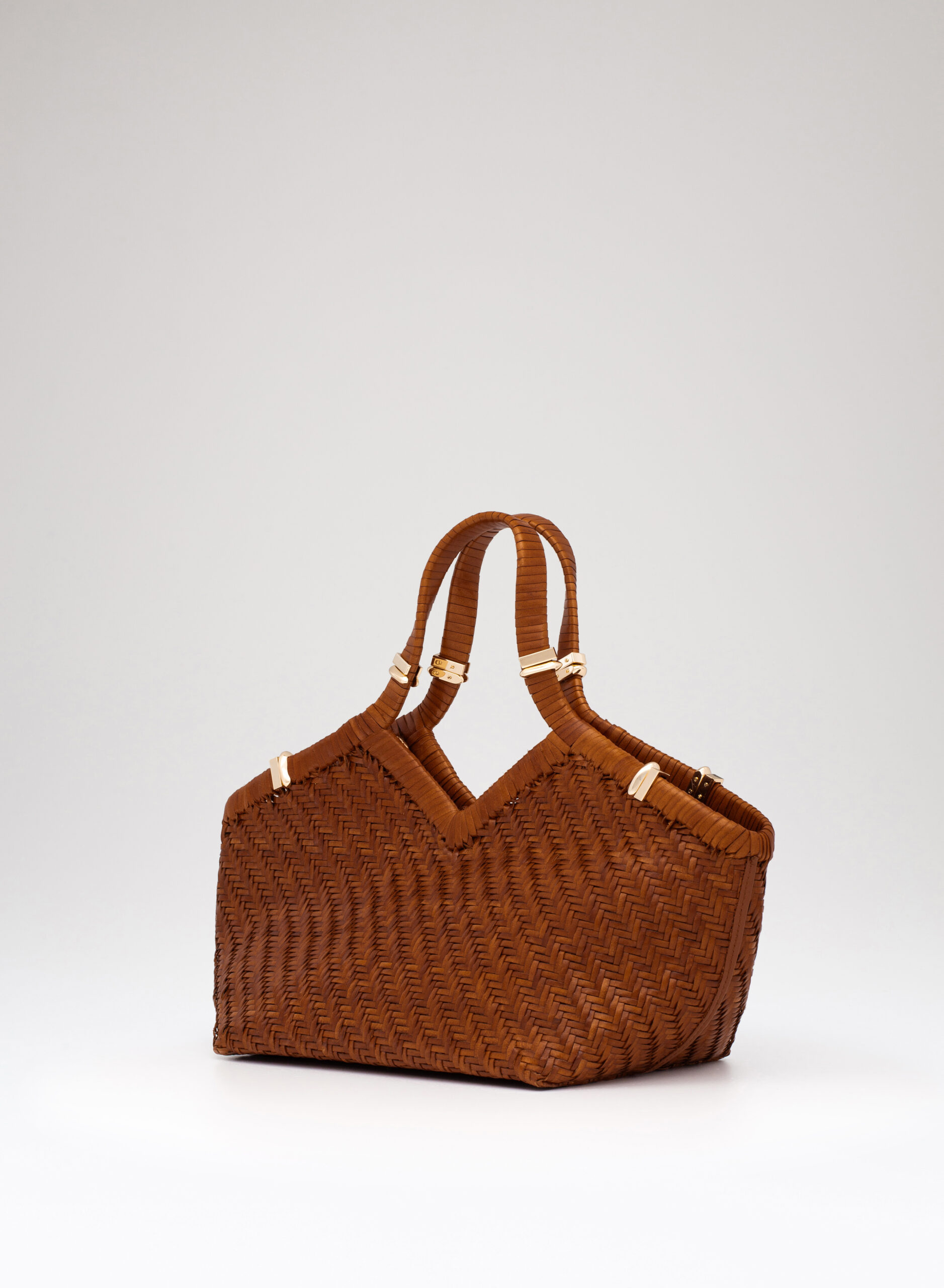 benedetta-bruzziches-usha-borsa-donna-curry image 2