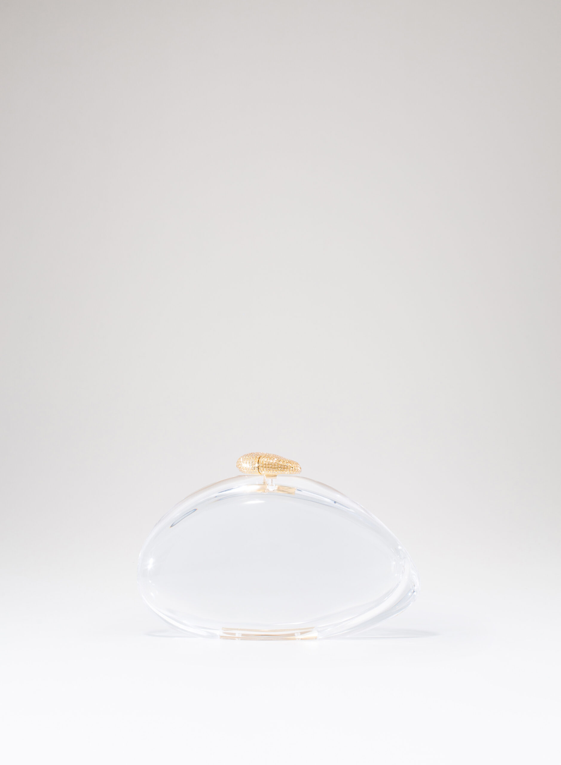 benedetta-bruzziches-ariel-borsa-donna-premium-transparent image 1