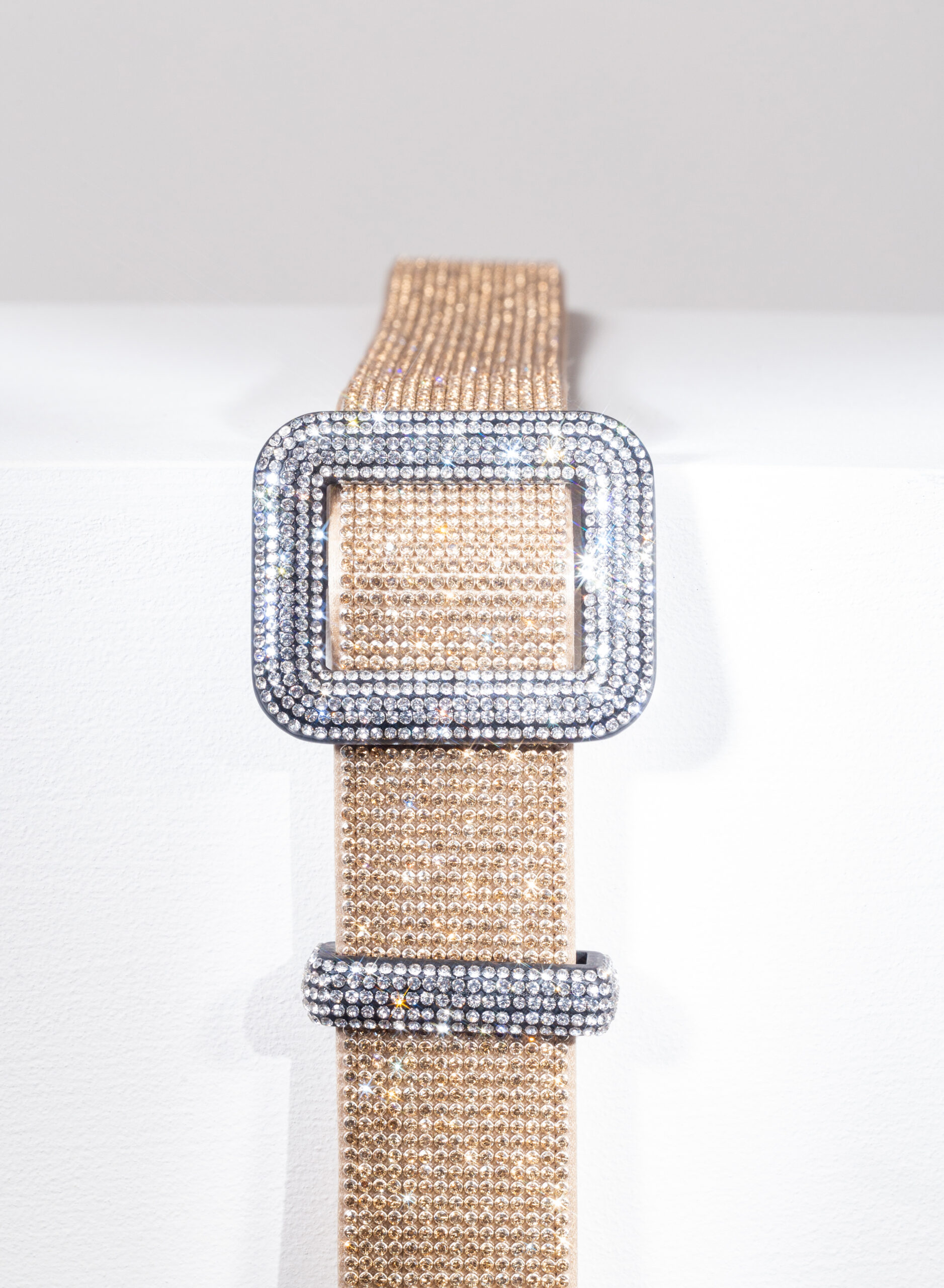 benedetta-bruzziches-cintura-venus-belt-shine-on-you-crazy-diamond image 4