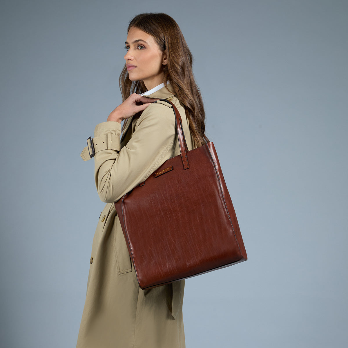 the-bridge-mirra-borsa-shopper-in-pelle-marrone-oro image 5