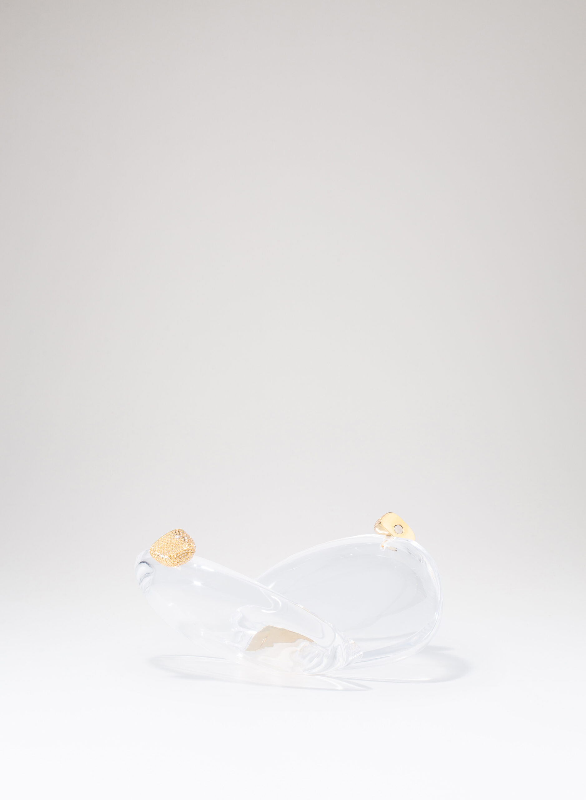 benedetta-bruzziches-ariel-borsa-donna-premium-transparent image 4