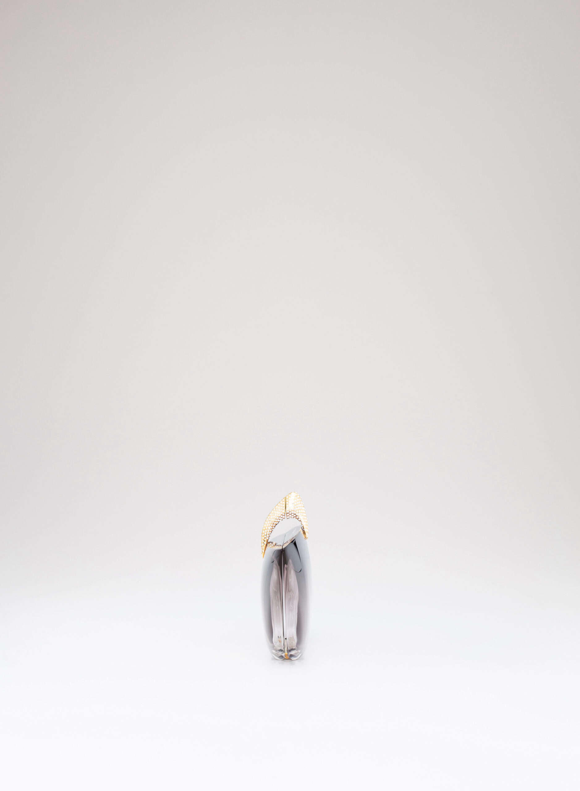 benedetta-bruzziches-artemisia-borsa-donna-ombr image 3