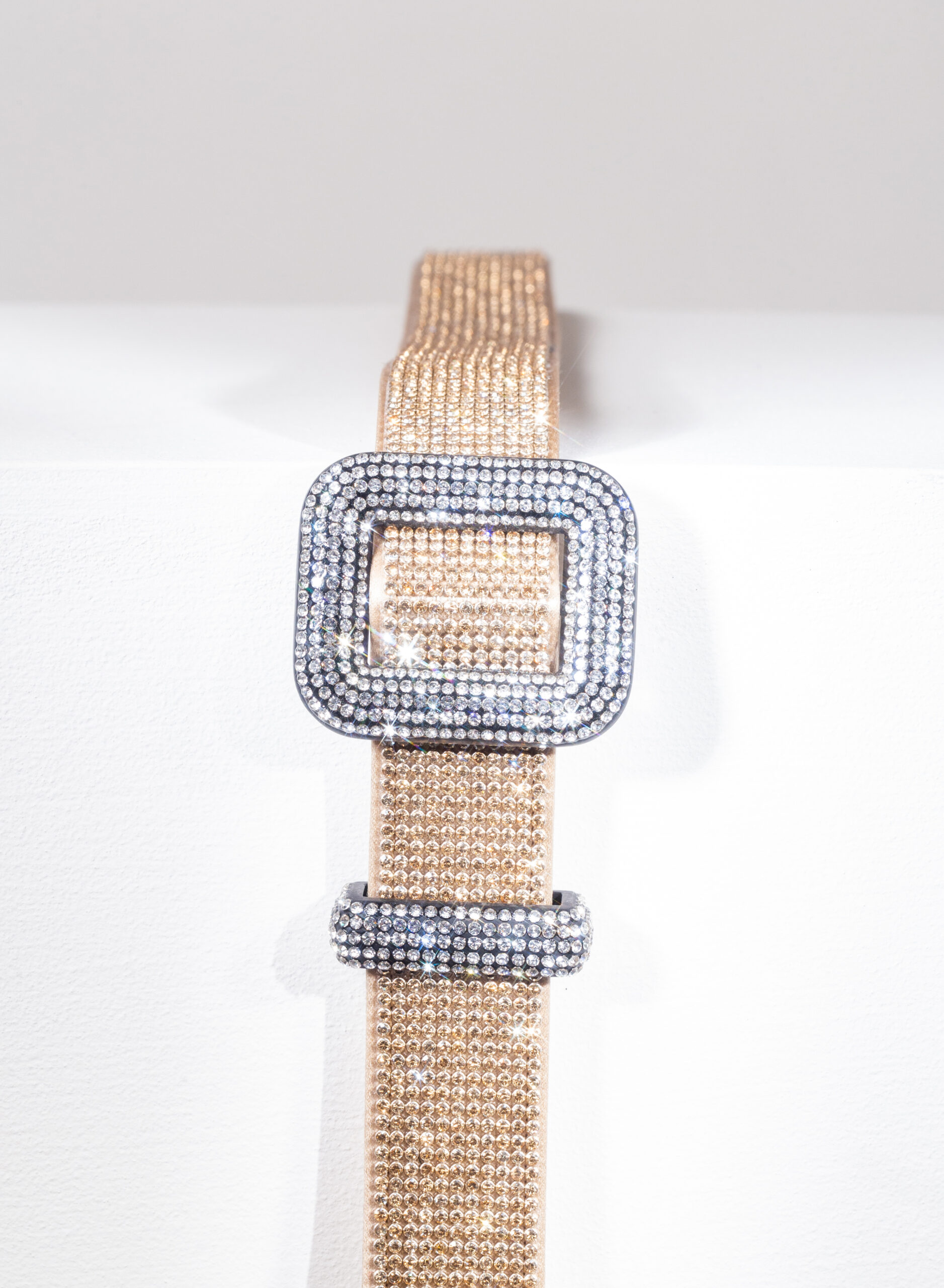 benedetta-bruzziches-venus-belt-la-petite-borsa-donna-shine-on-you-crazy-diamond image 4