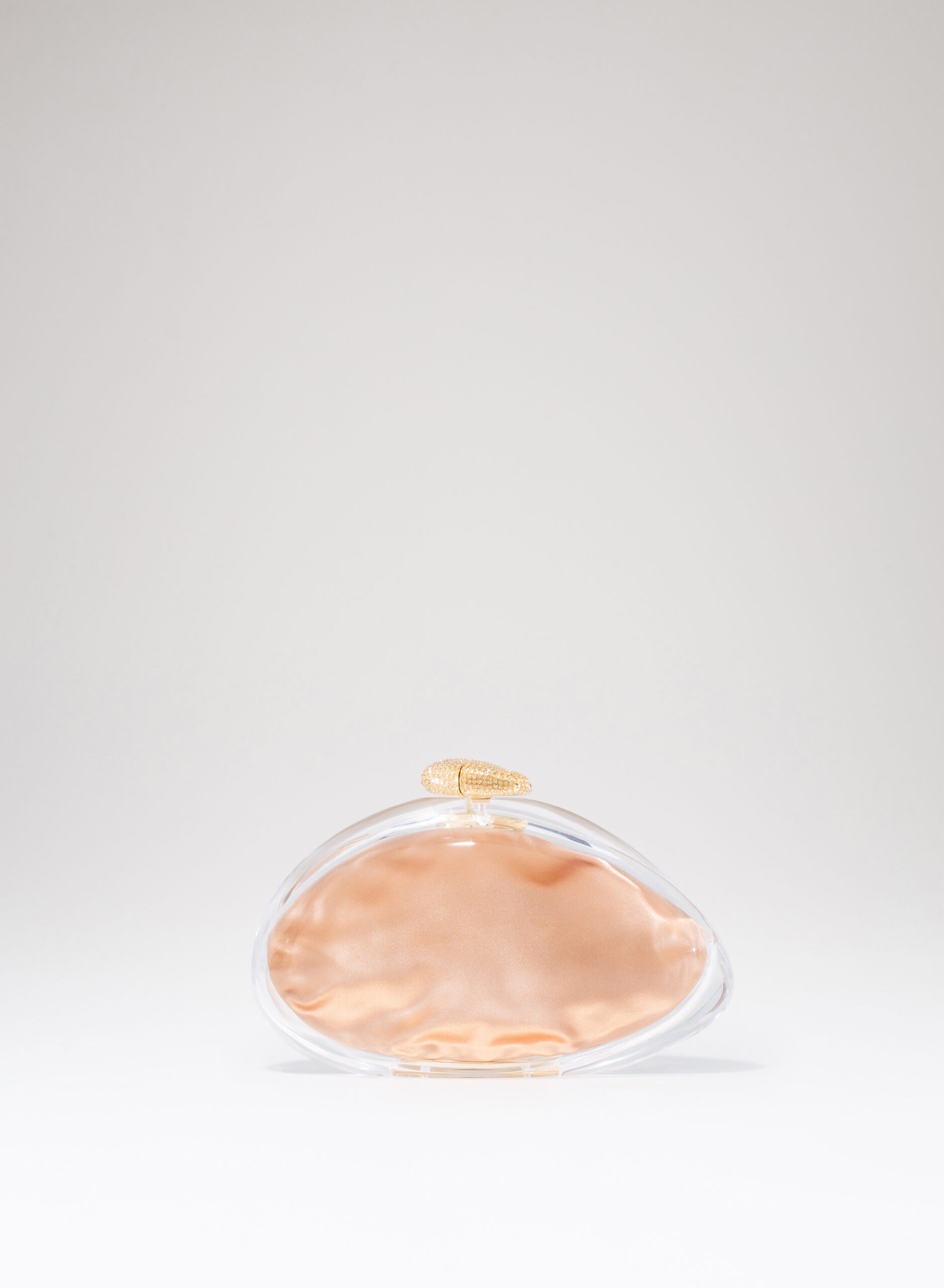 benedetta-bruzziches-ariel-borsa-donna-premium-transparent image 6