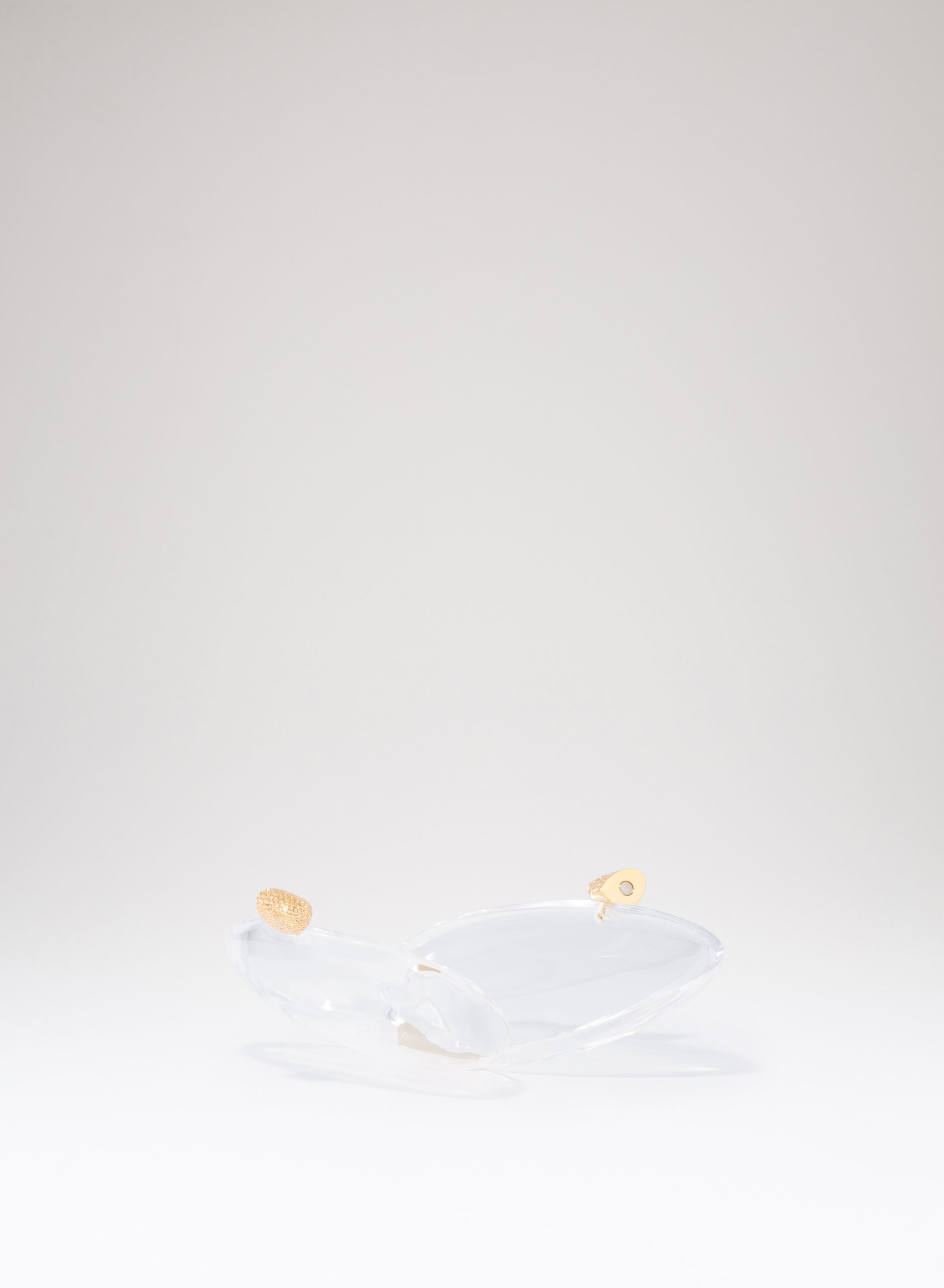 benedetta-bruzziches-armonia-borsa-donna-transparent image 4