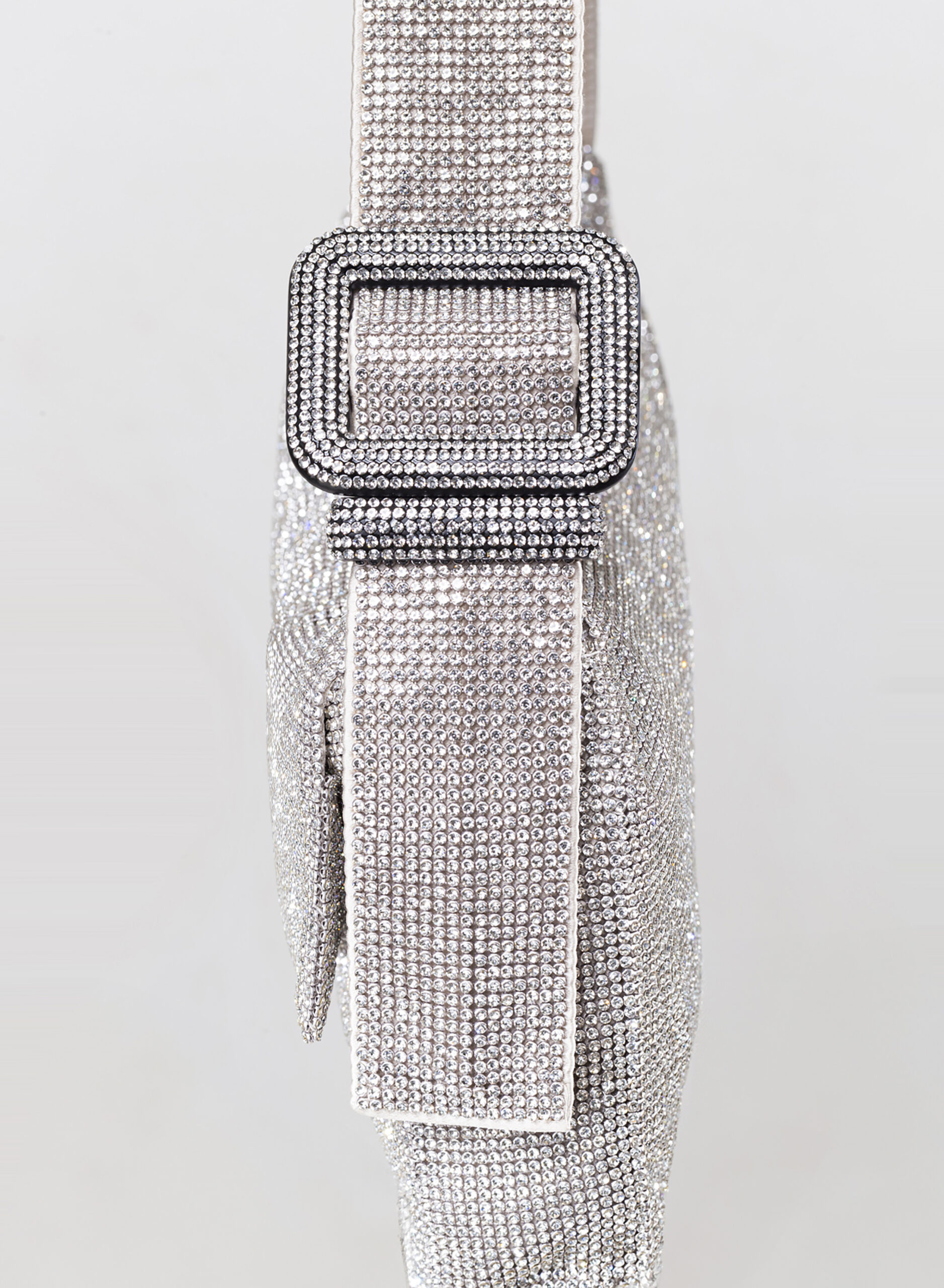 benedetta-bruzziches-vitty-la-grande-borsa-donna-crystal-on-silver image 5