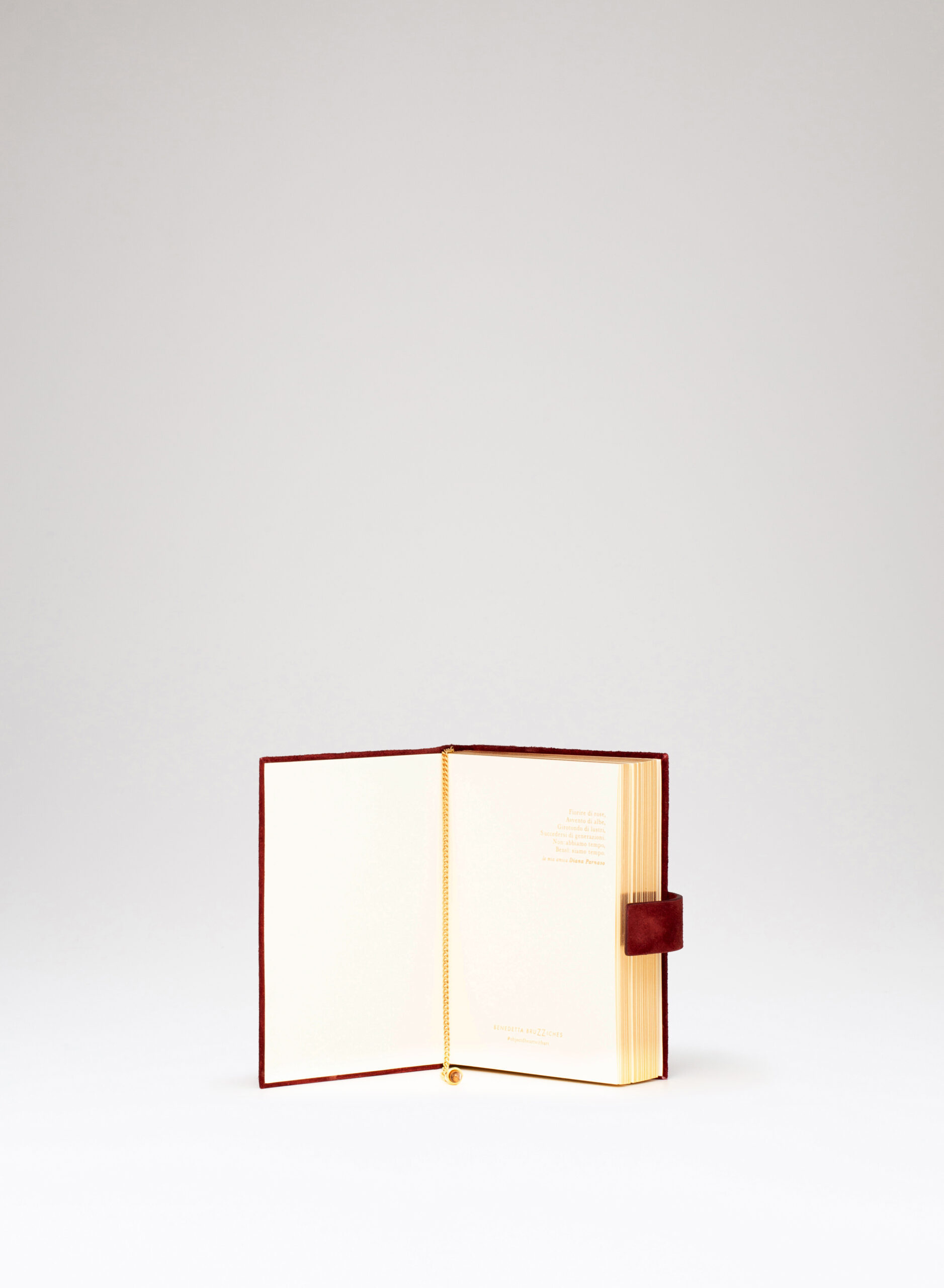 benedetta-bruzziches-diario-una-stanza-tutta-per-s-borsa-donna-winery image 4