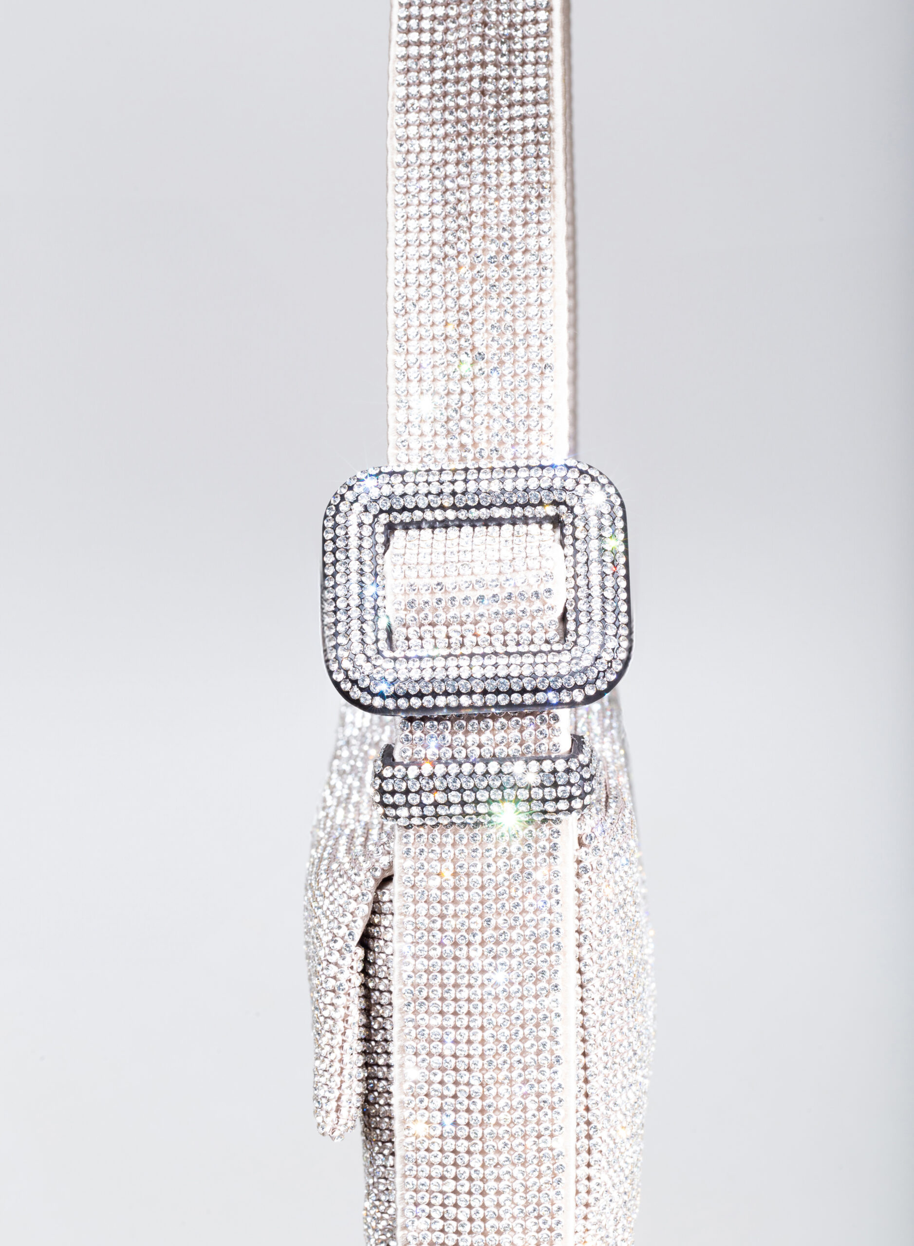 benedetta-bruzziches-vitty-la-mignon-borsa-donna-crystal-on-silver image 4