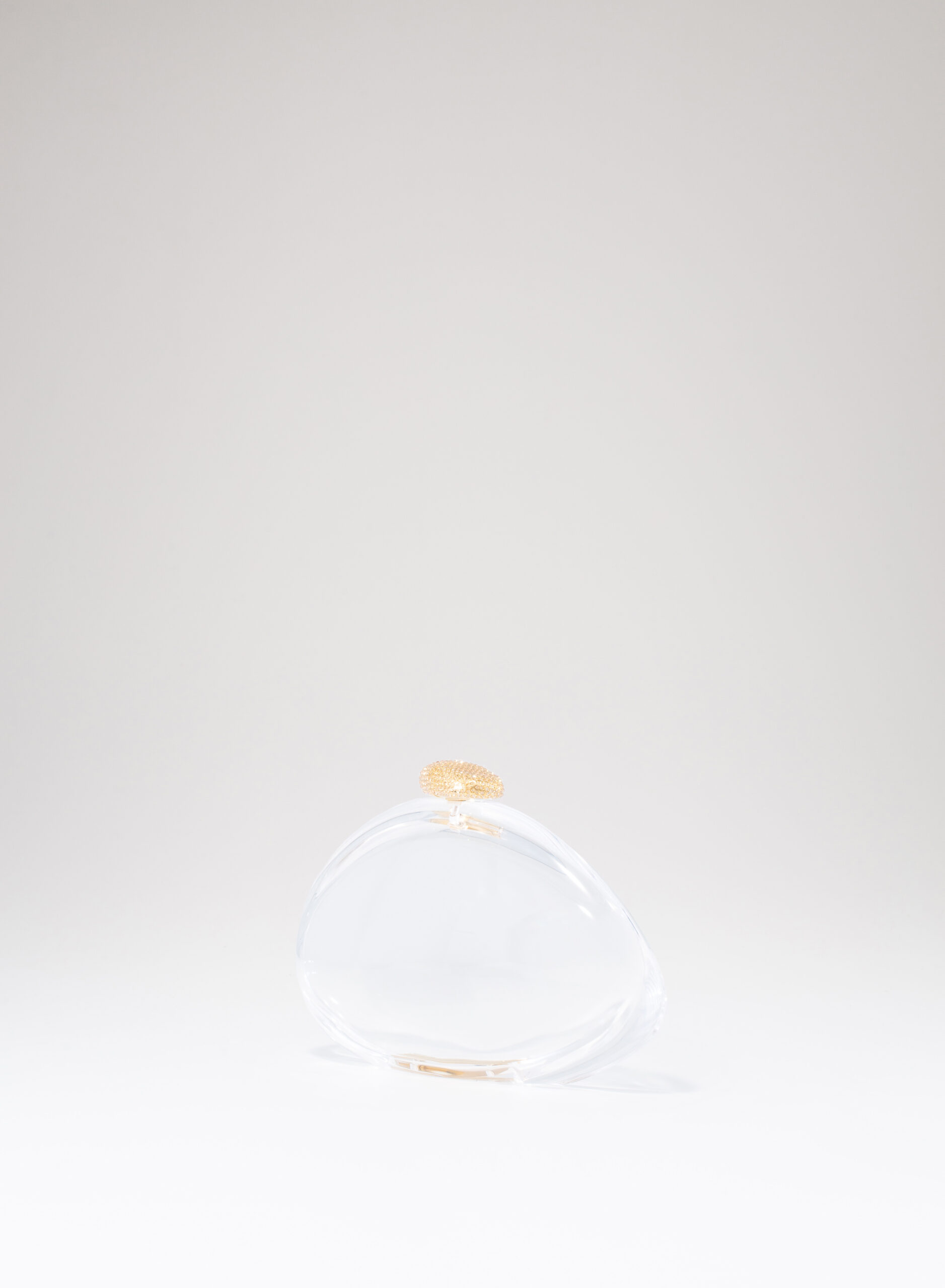 benedetta-bruzziches-ariel-borsa-donna-premium-transparent image 2