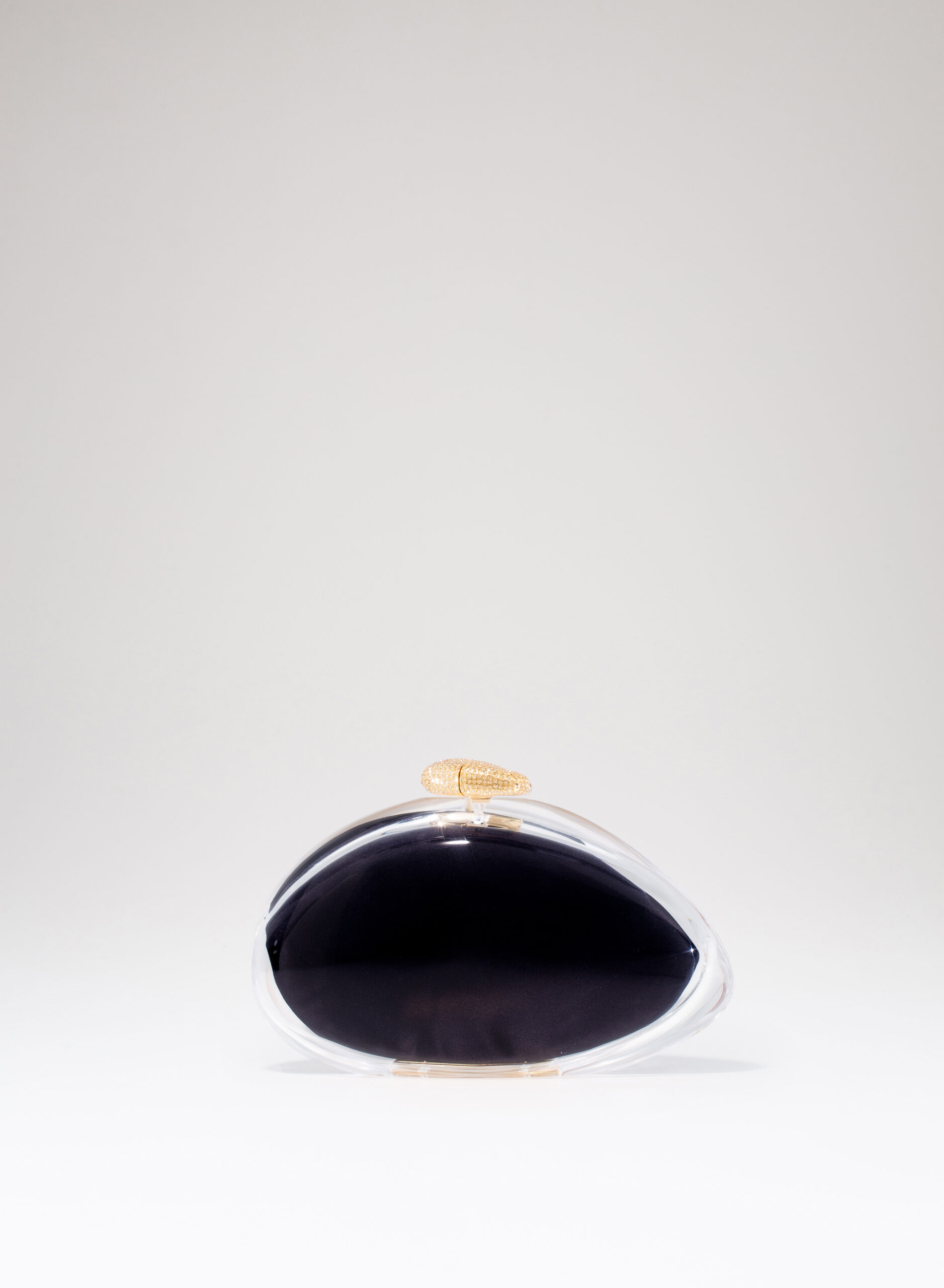 benedetta-bruzziches-ariel-borsa-donna-premium-transparent image 5